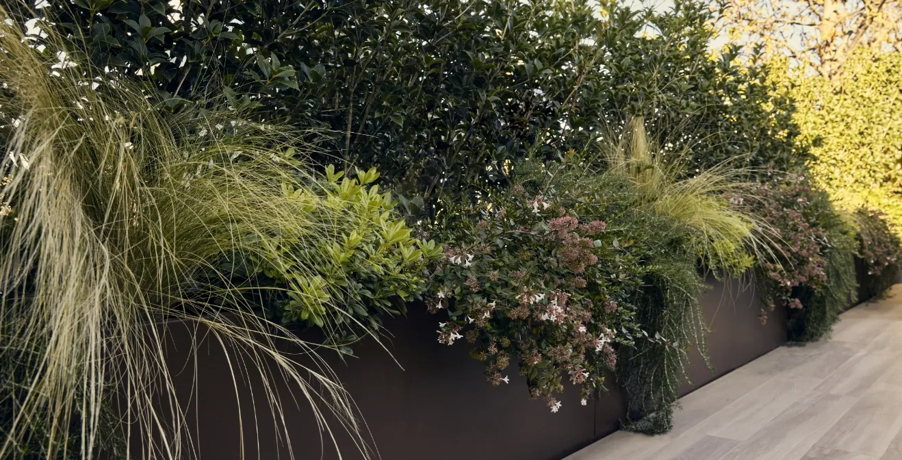 A long planter box with various green plants and grasses