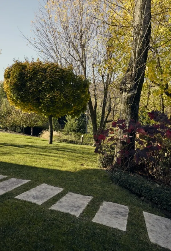 Garden with pathway and plants