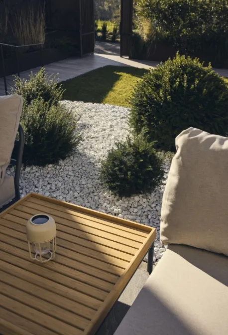 Rose rosa in fiore lungo un sentiero