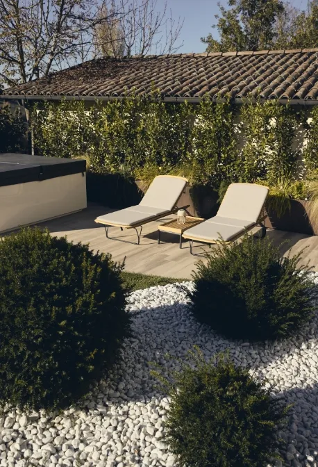 Rose rosa in fiore lungo un sentiero