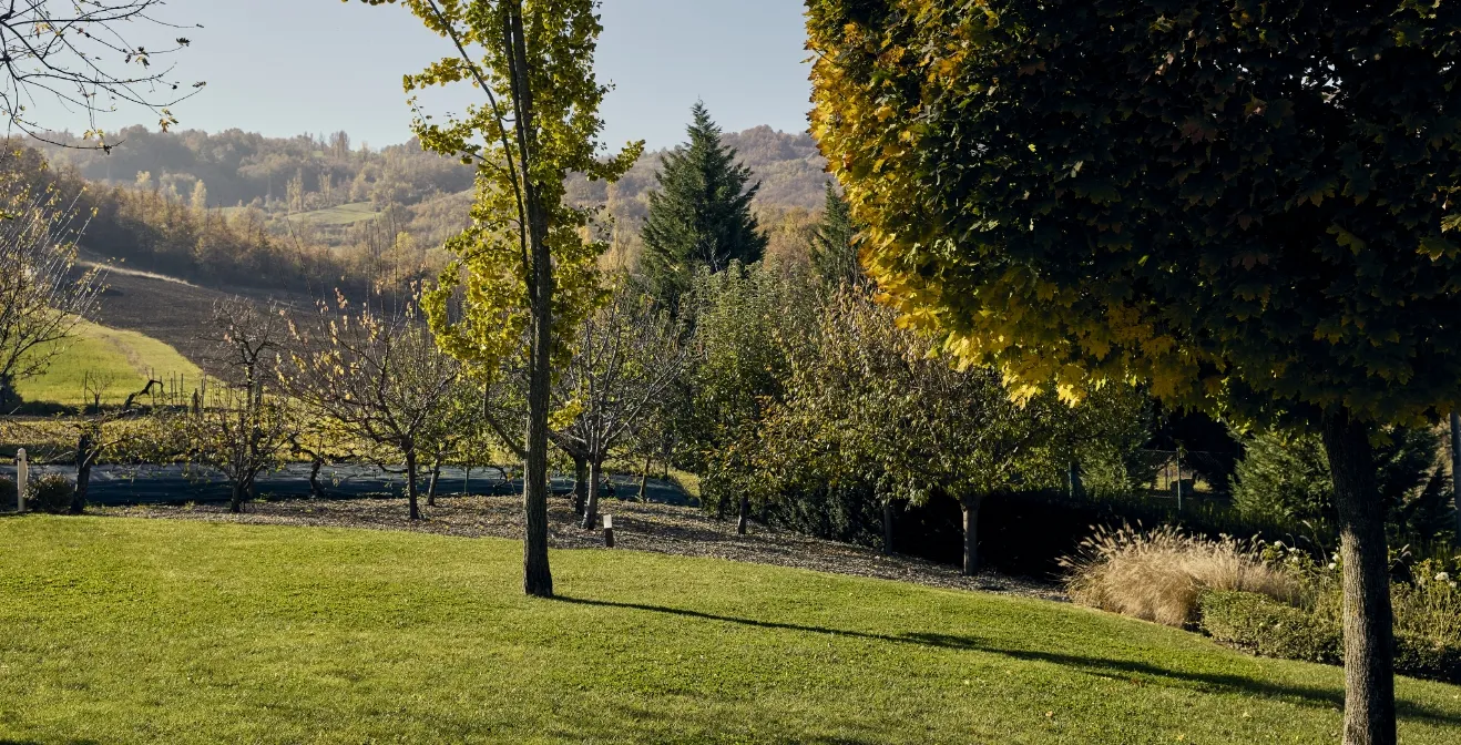 Una fioriera lunga con diverse piante verdi ed erbe